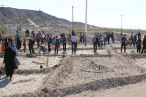 تفرجگاه آبشار بافق، میزبان مردم علاقمند به کاشت نهال