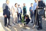 نهالکاری خانواده شهدا و شهردار بافق در تفرجگاه آبشار