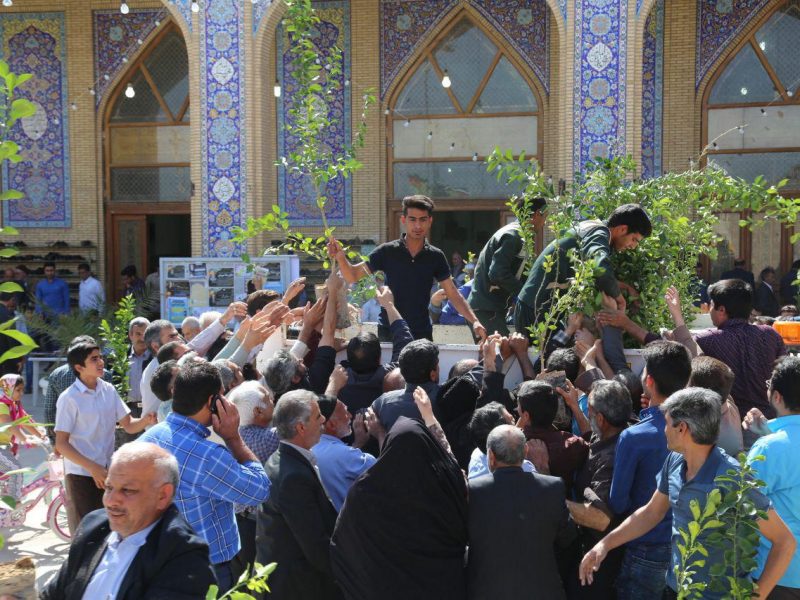 توزیع ۵۰۰ اصل نهال توسط شهرداری بافق پس از نمازجمعه