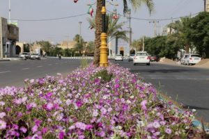 تابستان بافق با خودنمایی گلهای زیبا و رنگارنگ آغاز می شود