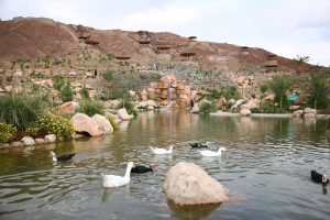 برای نخستین بار در استان یزد باغ گیاهان دارویی در مجموعه آبشار بافق احداث می شود