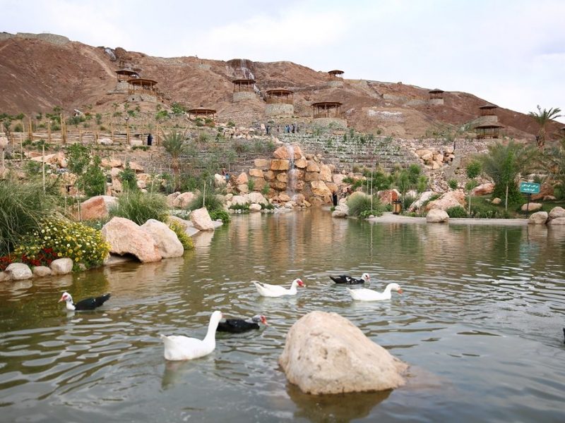 برای نخستین بار در استان یزد باغ گیاهان دارویی در مجموعه آبشار بافق احداث می شود