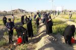 با همکاری شهرداری بافق: بیش از ۵۰ نهال به یاد شهدا شهرستان غرس شد