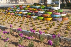 کاشت گل و نصب گلدان های سنگی در سطح شهر