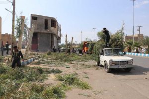 روایت تلاش : گزارش تصویری از هرس درختان سطح شهر ( بلوار انقلاب )