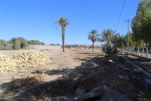 روایت تلاش : گزارش تصویری از محوطه سازی و زیرسازی پروژه بزرگ باغ ایرانی