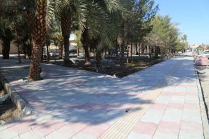 روایت تلاش : گزارش تصویری از ساماندهی فضای سبز خیابان عدالت