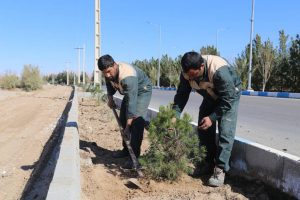 روایت تلاش : گزارش تصویری از گسترش فضای سبز سطح شهر ( بلوار آیت الله میرغنی زاده)