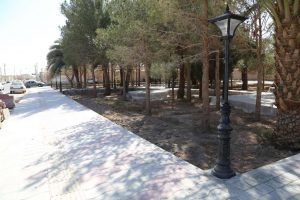 روایت تلاش : گزارش تصویری از ساماندهی فضای سبز عدالت ( تامین روشنایی )