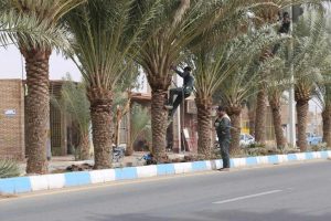 روایت تلاش : گزارش تصویری از هرس درختان خرما ( بلوار شهید بهشتی)