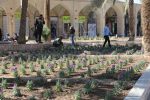 روایت تلاش : گزارش تصویری از کاشت انبوه گل های فصلی ( میدان امام زاده عبدالله (ع) )