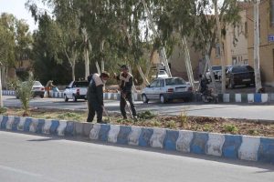 روایت تلاش : گزارش تصویری از آماده سازی فضای سبز در سطح شهر ( بلوار انقلاب )