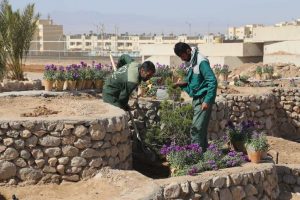 روایت تلاش : گزارش تصویری از کاشت انبوه گل های فصلی ( پارک آبشار )