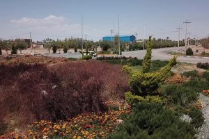 روایت تلاش : گزارش تصویری از هرس و فرم دهی درختان و بوته های سطح شهر