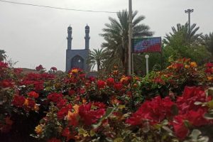 روایت تلاش : گزارش تصویری از جلوه گری گل های بهاری در فضای شهری