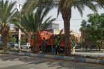 روایت تلاش : گزارش تصویری از هرس درختان سطح شهر ( بلوار شهید بهشتی )