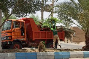 روایت تلاش : گزارش تصویری از هرس درختان سطح شهر ( بلوار امام علی (ع) )