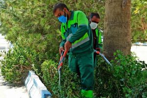 روایت تلاش : گزارش تصویری از هرس درختان سطح شهر ( بلوار بسیج )