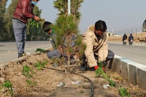 روایت تلاش : گزارش تصویری از کاشت انبوه گل های فصلی در سطح شهر (بلوار ولیعصر)