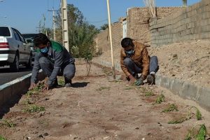 روایت تلاش : گزارش تصویری از کاشت انبوه گل های فصلی در سطح شهر (بلوار شهدا لاین شمالی )