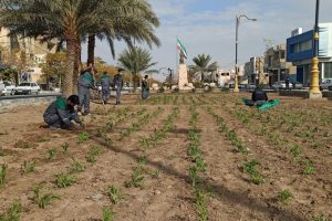 روایت تلاش : گزارش تصویری از کاشت انبوه گل های فصلی در سطح شهر (بلوار وحشی بافقی)