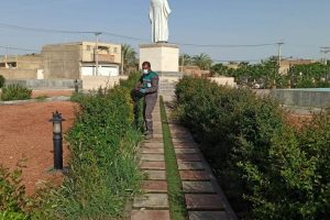 روایت تلاش : گزارش تصویری از هرس درختان سطح شهر