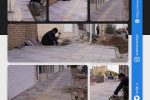 روایت تلاش : موزاییک فرش معابر سطح شهر ( خیابان فرهنگ )