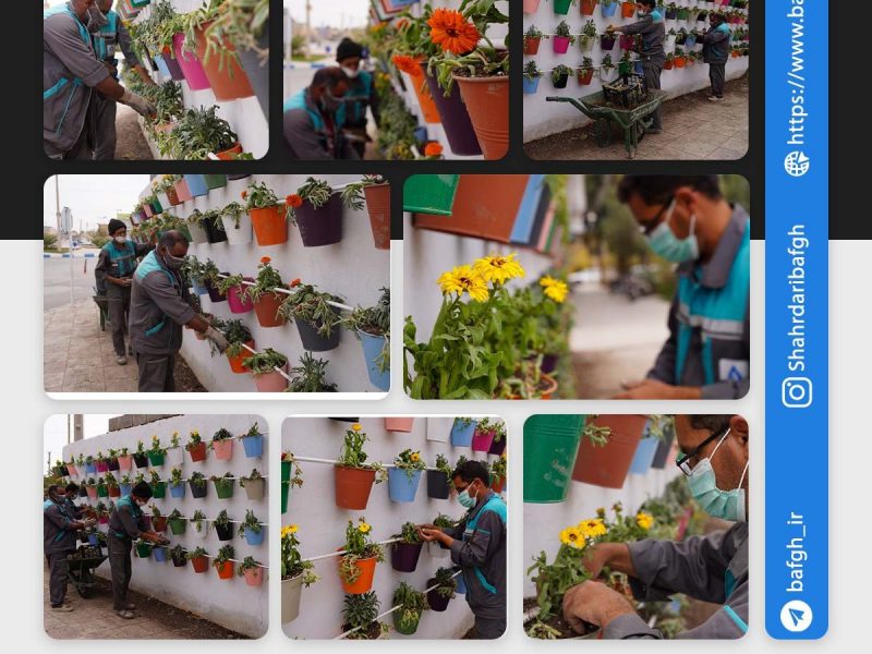 روایت تلاش : کاشت انبوه گل های فصلی در سطح شهر ( میدان شهدا )