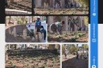 روایت تلاش : کاشت انبوه گل های فصلی در سطح شهر ( میدان امامزاده عبدالله (ع) )