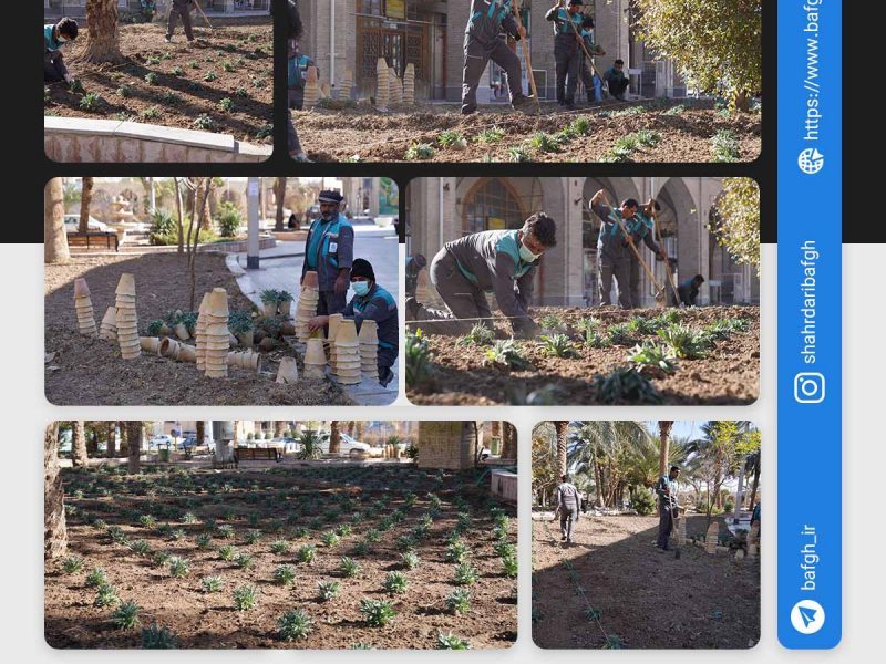 روایت تلاش : کاشت انبوه گل های فصلی در سطح شهر ( میدان امامزاده عبدالله (ع) )