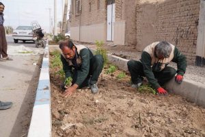 روایت تلاش : کاشت انبوه گل های فصلی در معابر سطح شهر ( بلوار حاج ملااسدالله بافقی )