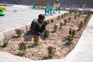 روایت تلاش : کاشت انبوه گل های فصلی در معابر سطح شهر ( بوستان اندیشه )