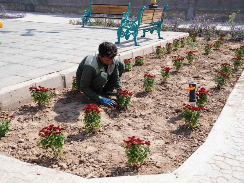 روایت تلاش : کاشت انبوه گل های فصلی در معابر سطح شهر ( بوستان اندیشه )