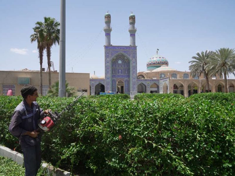 روایت تلاش : هرس و فرم دهی فضای سبز معابر سطح شهر ( میدان امامزاده عبدالله )