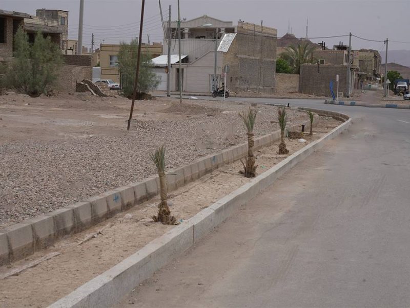 روایت تلاش: کاشت درخت نخل در معابر سطح شهر ( بلوار نخلستان )