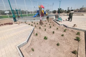 روایت تلاش : کاشت گل های فصلی در معابر سطح شهر ( بوستان گلسرخ )