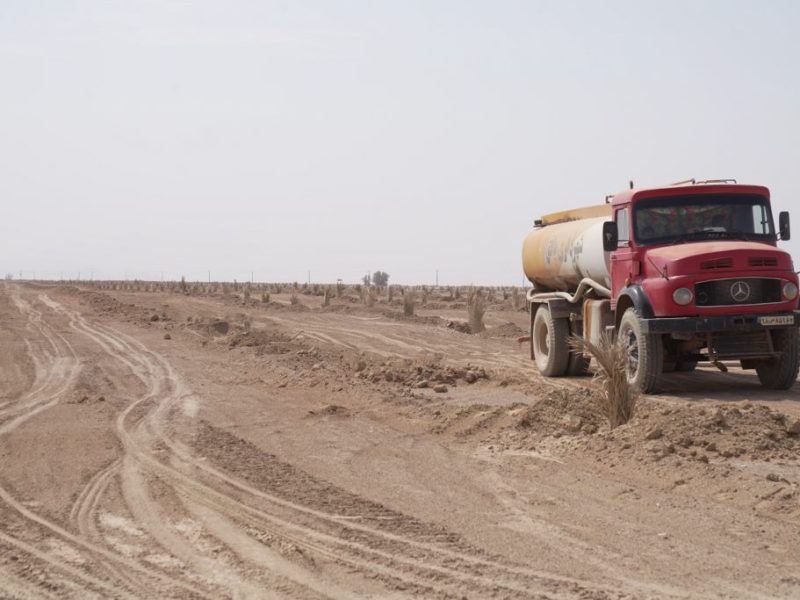 روایت تلاش: ایجاد نخلستان بزرگ 400 هکتاری ( کاشت نخل و آبیاری نخل ها با تانکر)