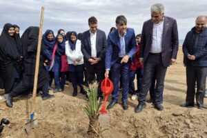 پویش هر نفر، یک نفر؛ آیین درختکاری در نخلستان ۴۰۰ هکتاری شهرداری بافق برگزار شد