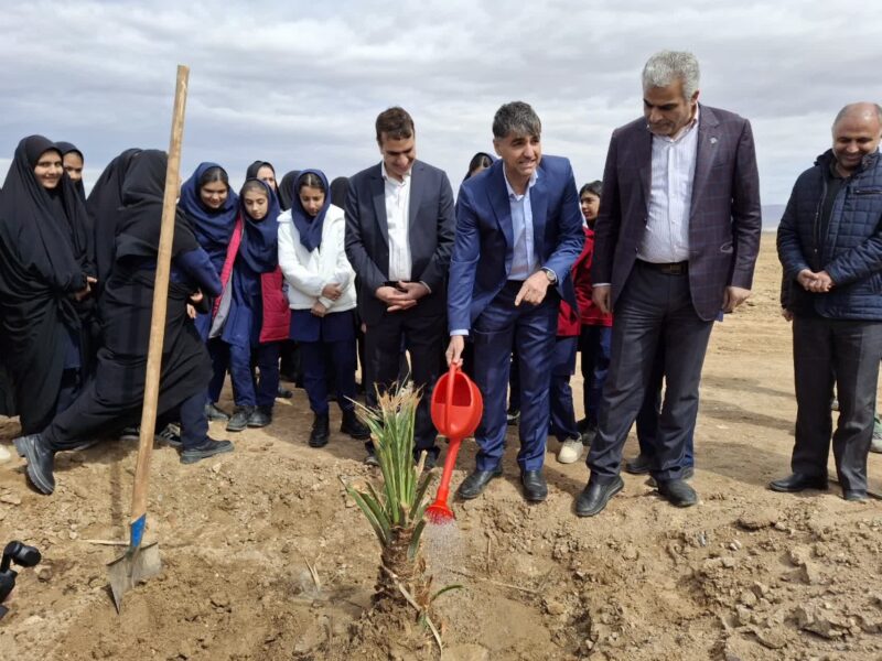 پویش هر نفر، یک نفر؛ آیین درختکاری در نخلستان ۴۰۰ هکتاری شهرداری بافق برگزار شد