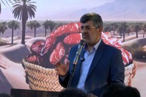 احداث نخلستان ۴۰۰ هکتاری، گامی ارزشمند برای آبادانی استان یزد